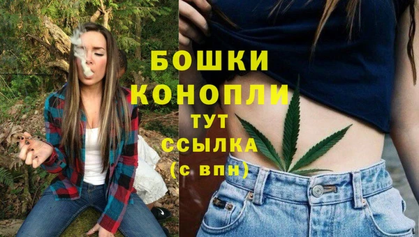 дурь Верея